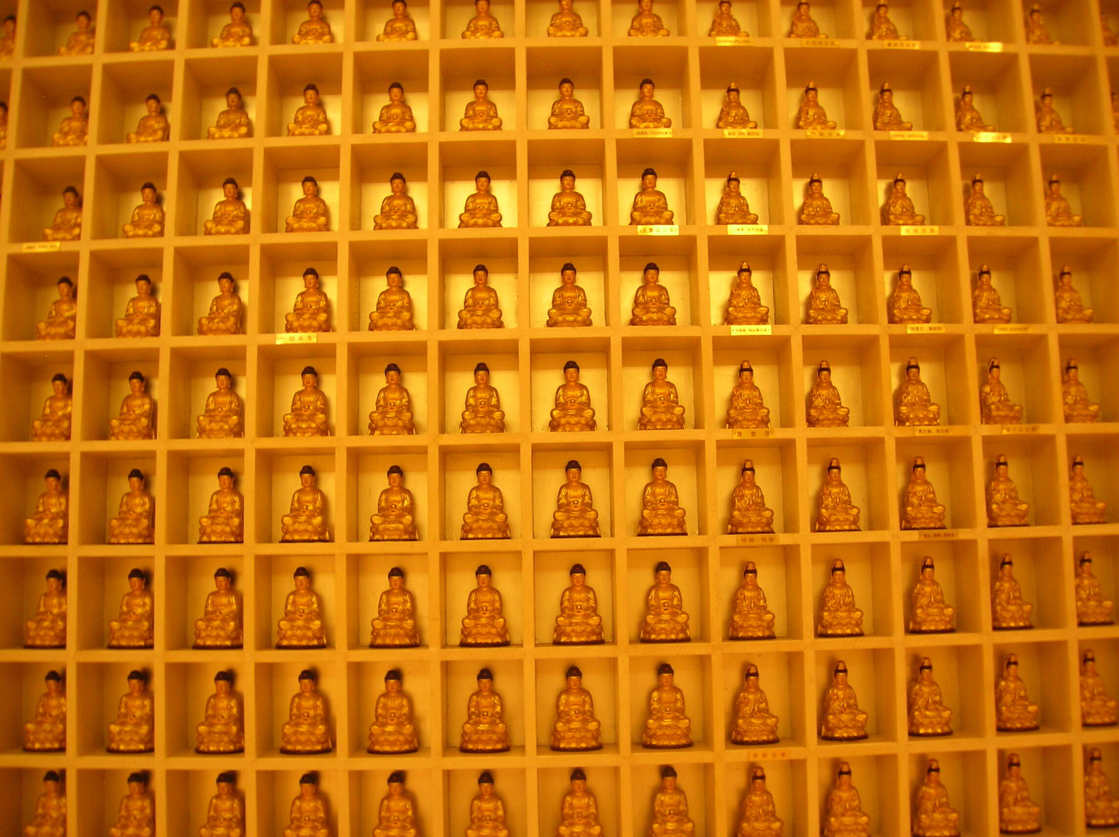 hall of Buddhas