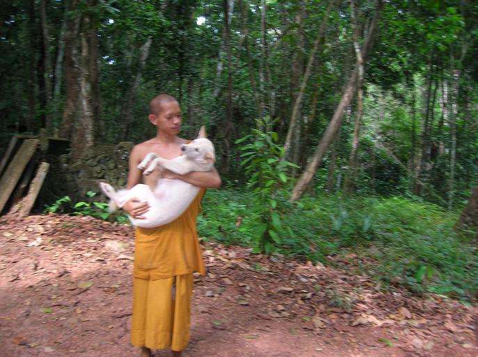 monk and dog