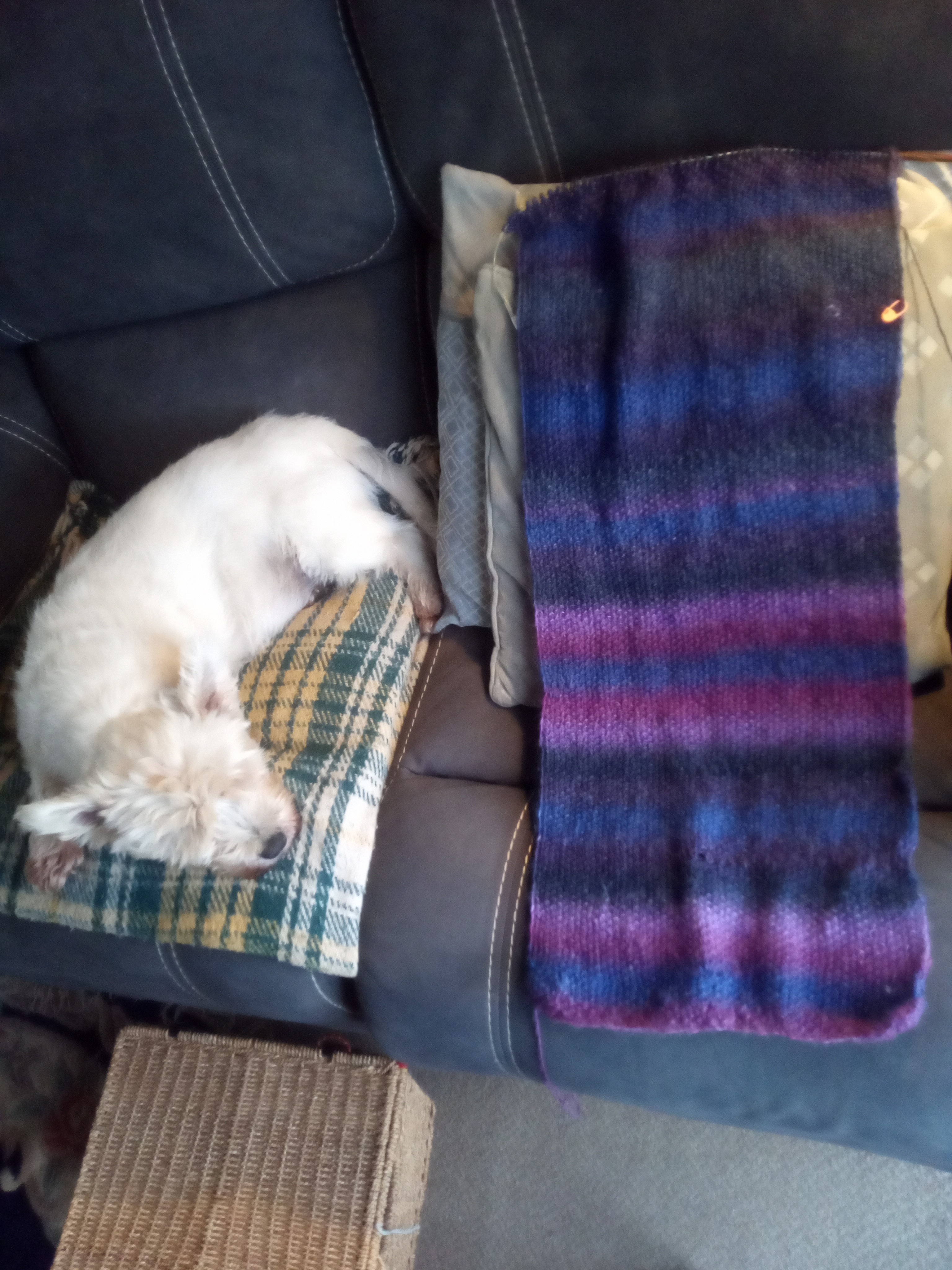 scarf #4